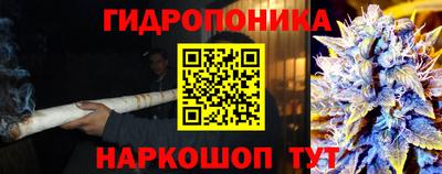 МДПВ Лесосибирск