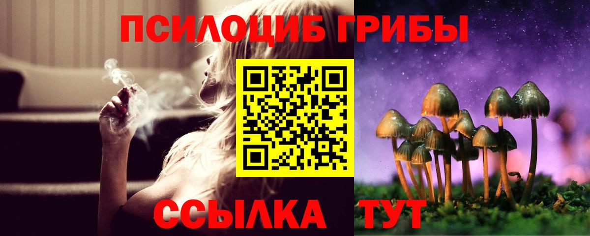 Псилоцибиновые грибы Psilocybine cubensis  Вход с VPN  Губаха 